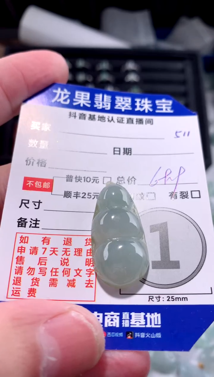 【闪购商品】翡翠颈饰未镶嵌豆子511