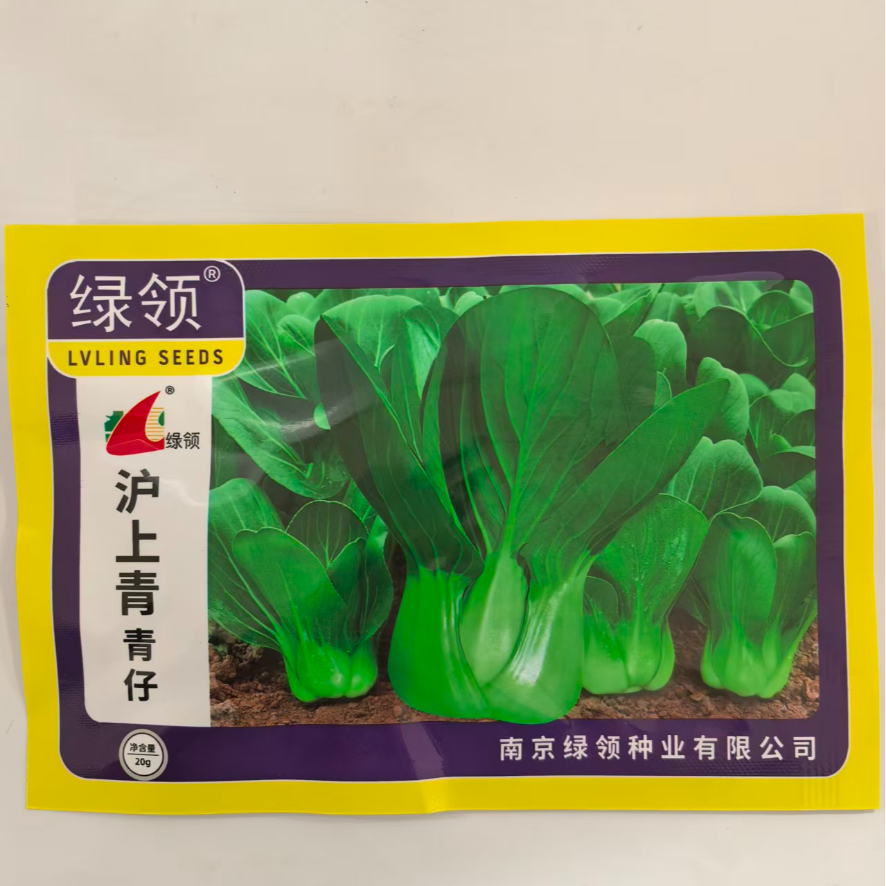 沪上青青梗菜束腰生长速度快 叶面深绿肉质肥厚口感软糯 耐寒性强