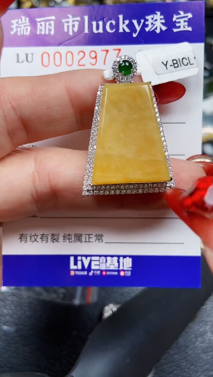【闪购商品】翡翠颈饰银S925镶嵌2977