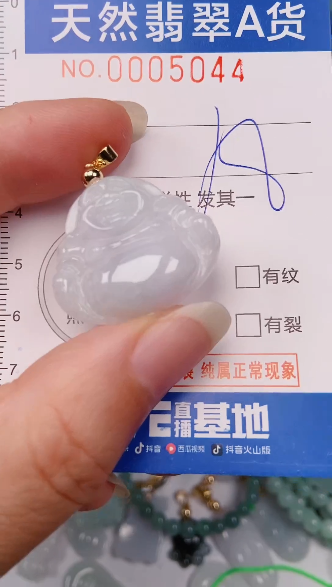 颈饰未镶嵌翡翠00005044
