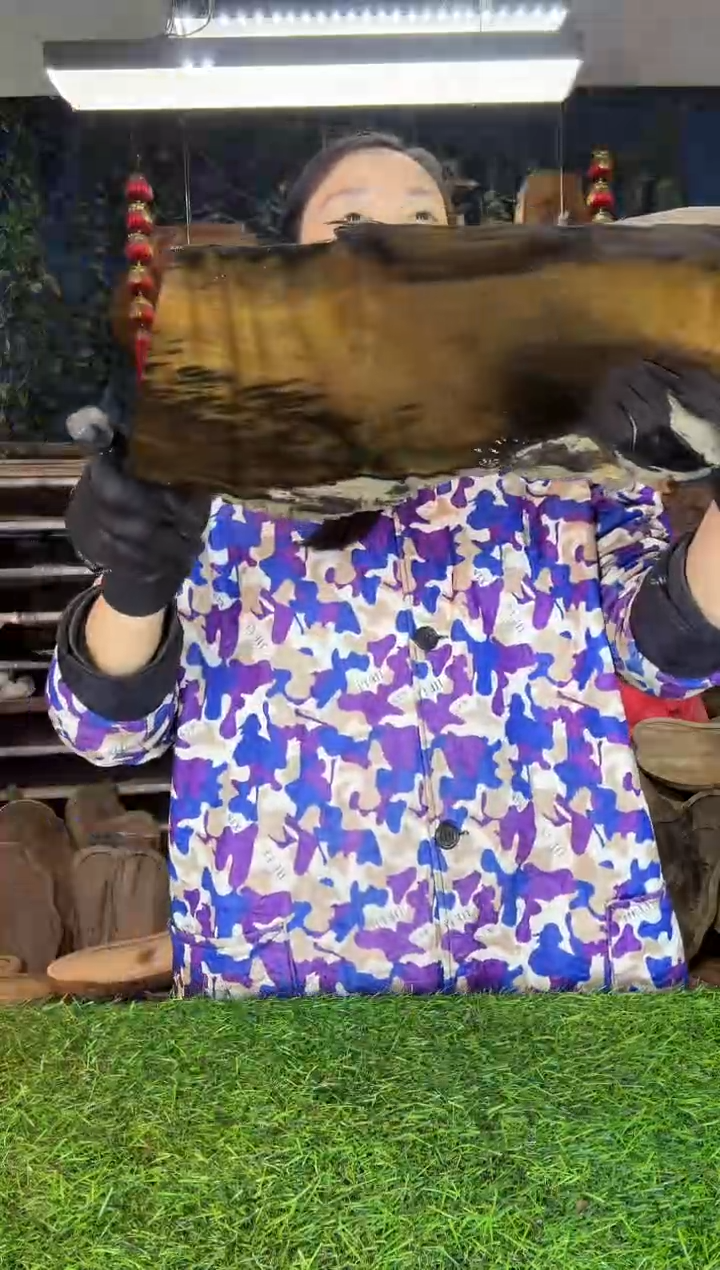 金丝楠小叶桢楠25