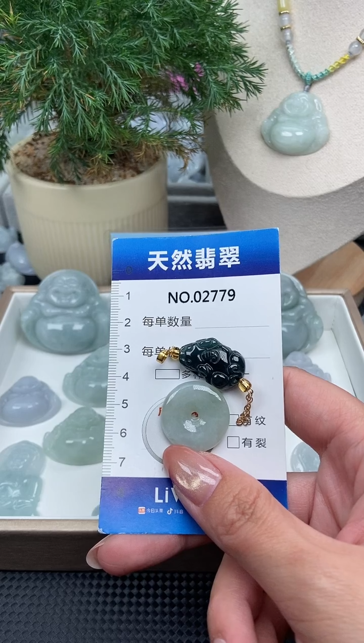 颈饰未镶嵌翡翠纯天然A货缅翡2779