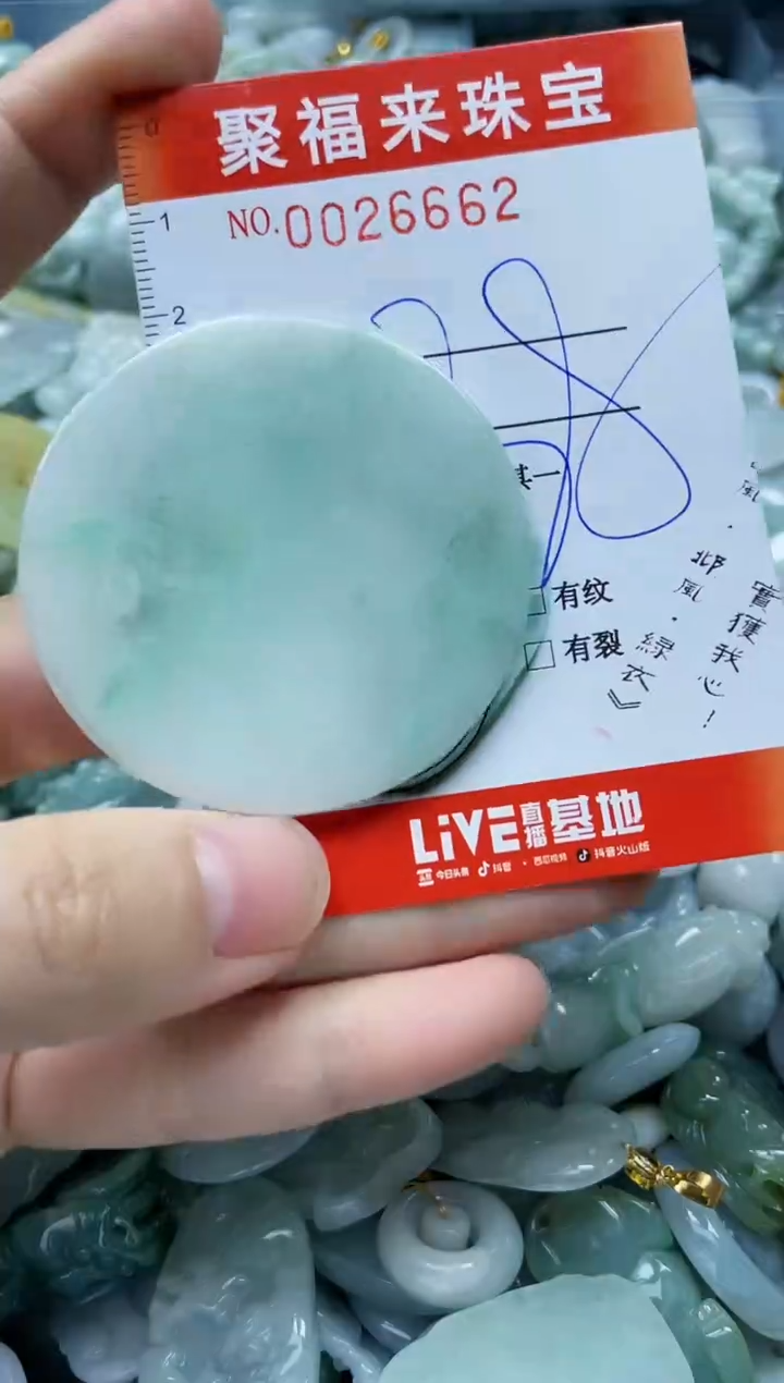 【闪购商品】翡翠颈饰未镶嵌闪购0026662