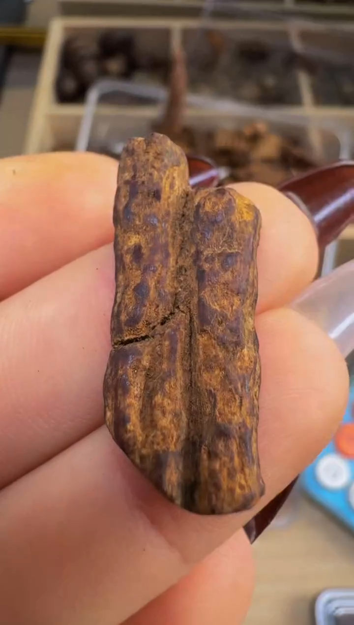 【闪购商品】沉香吊坠越南惠安红土