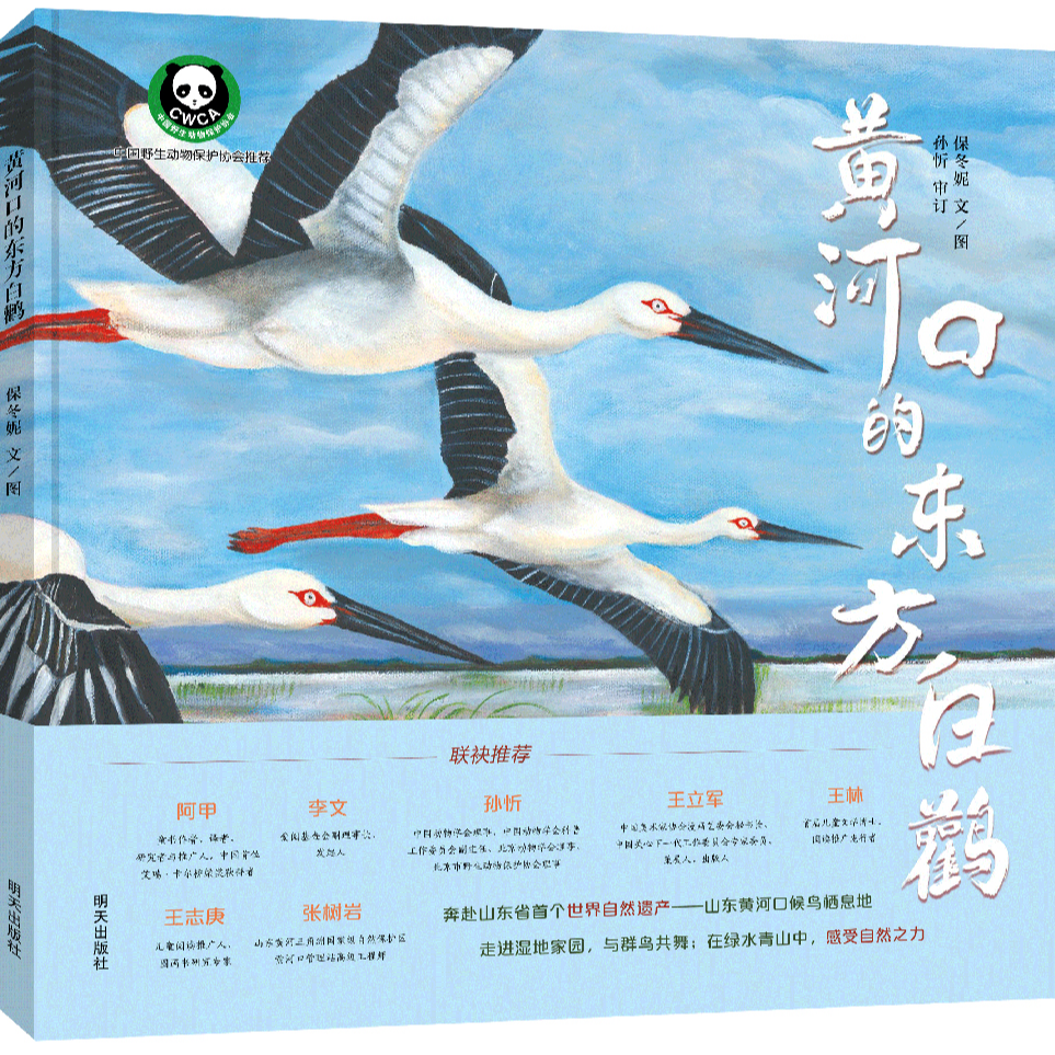 黄河口的东方白鹳 明天出版社