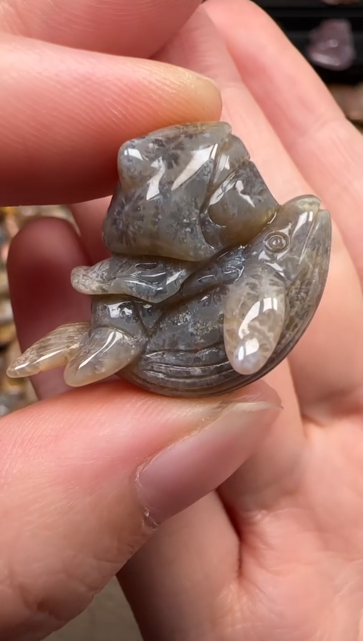 硅化珊瑚（珊瑚玉）未镶嵌颈饰848