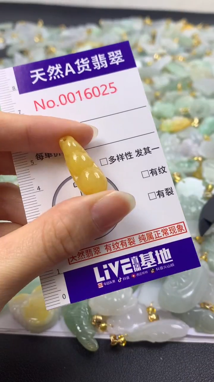 颈饰未镶嵌翡翠1