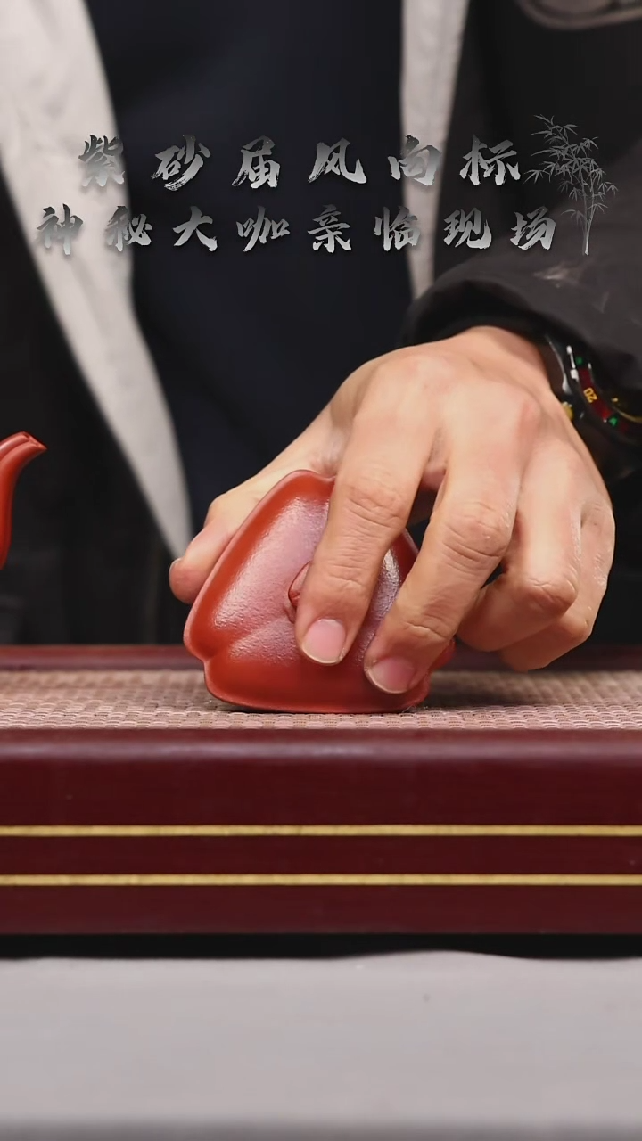 【闪购商品】紫砂茶壶碧壶金弟原矿紫砂壶