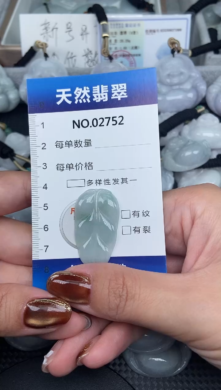 颈饰未镶嵌翡翠纯天然A货翡翠2752