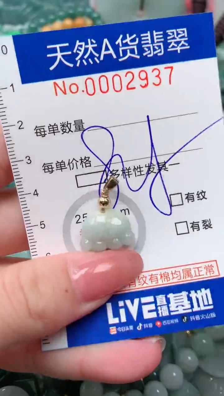 【闪购商品】翡翠颈饰未镶嵌00002937