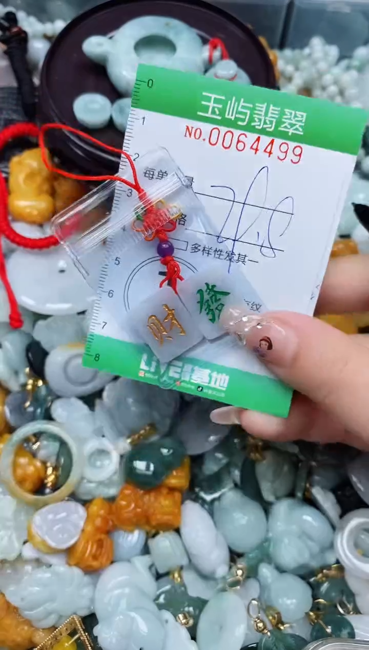 【闪购商品】翡翠颈饰未镶嵌闪购0064499