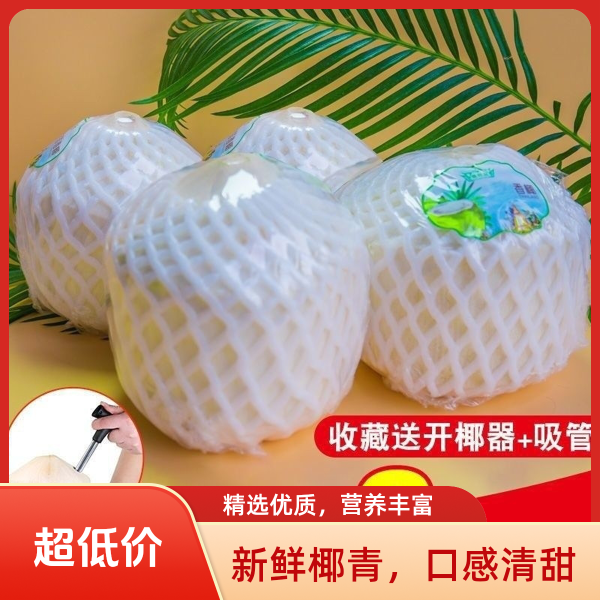 当天摘海南文昌椰青新鲜9个装口感微甜酸新鲜解渴坏果包赔