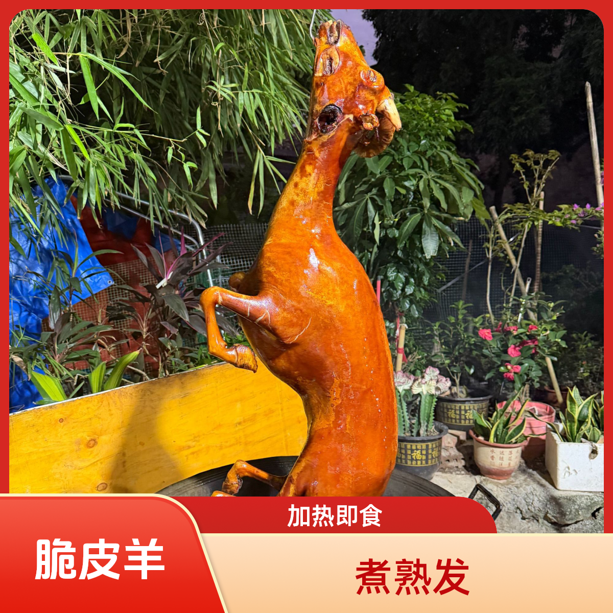 黑山羊熟肉98文2斤发2斤4，广西特色煮熟发出，真空发顺丰冷链