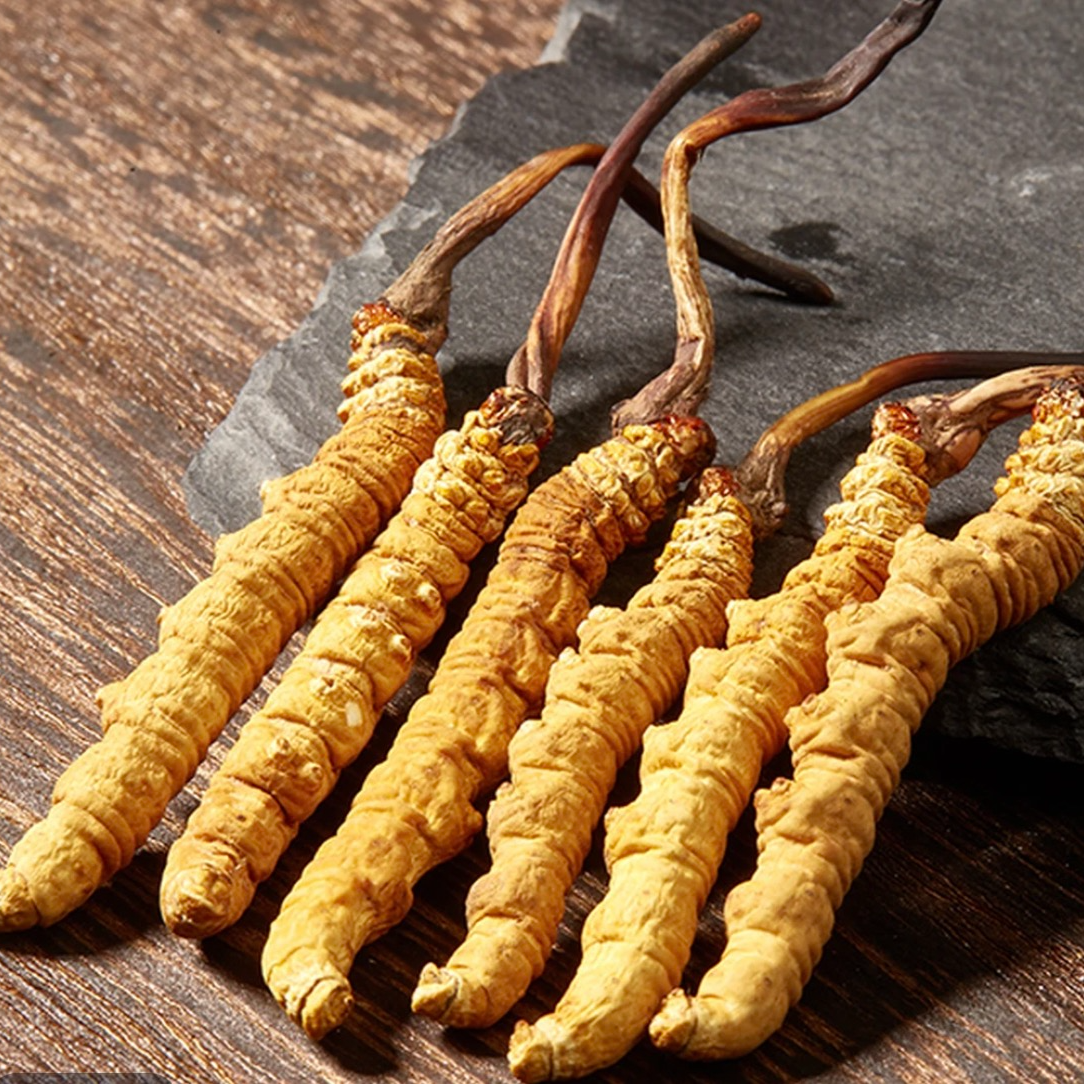 【藏区整草2根/克】2025头期虫草干草泡酒煲汤滋补正宗雪山送礼高档