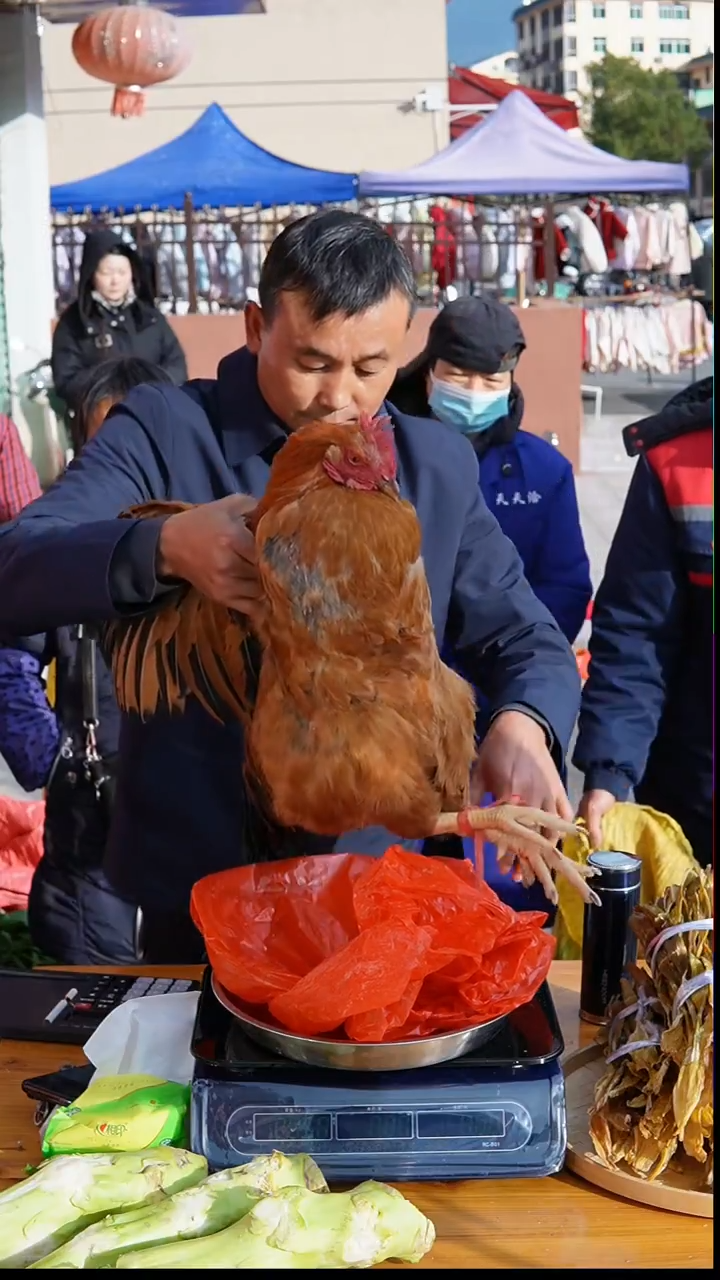 中国大陆淹鸡Y01(6斤)