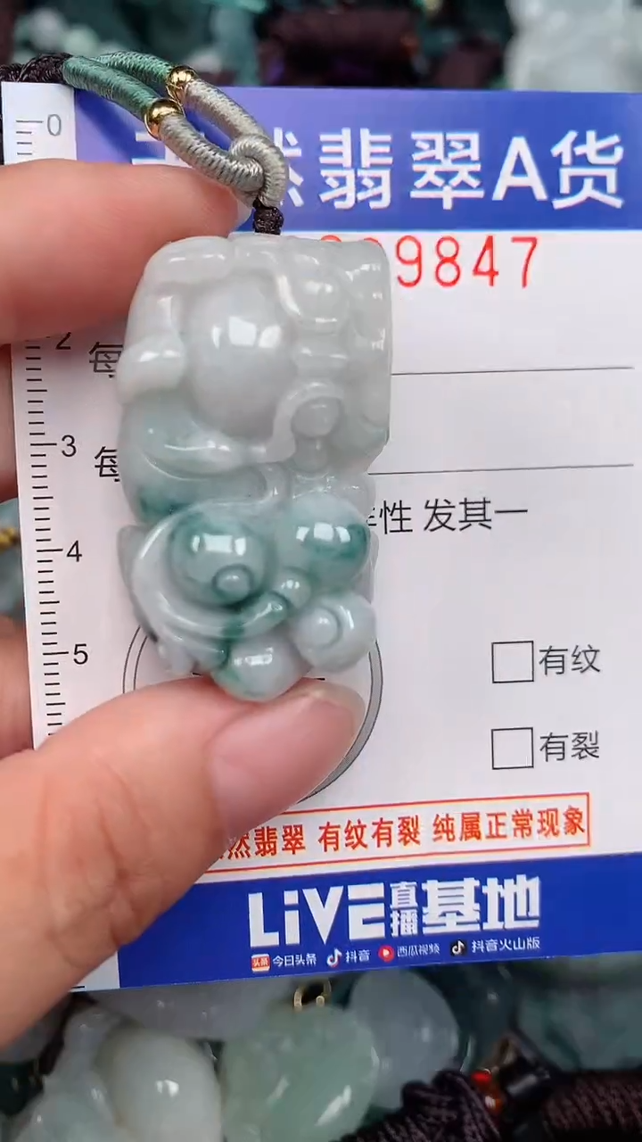 翡翠未镶嵌颈饰...0009847