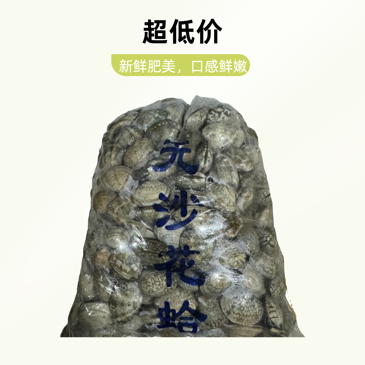 鲜活花蛤2500g