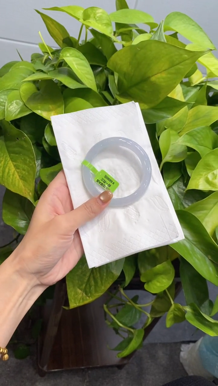 未镶嵌手镯翡翠000073897