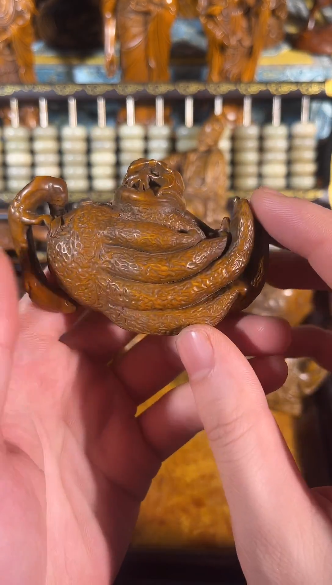 黄杨木011111111111