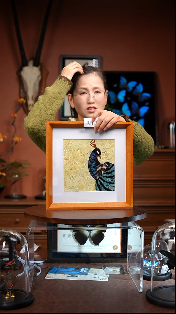 Z183孔雀蝶翅画竞拍（实木框）