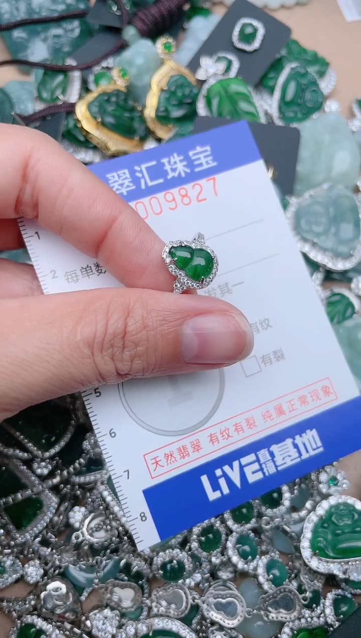 【闪购商品】翡翠颈饰未镶嵌9827.....