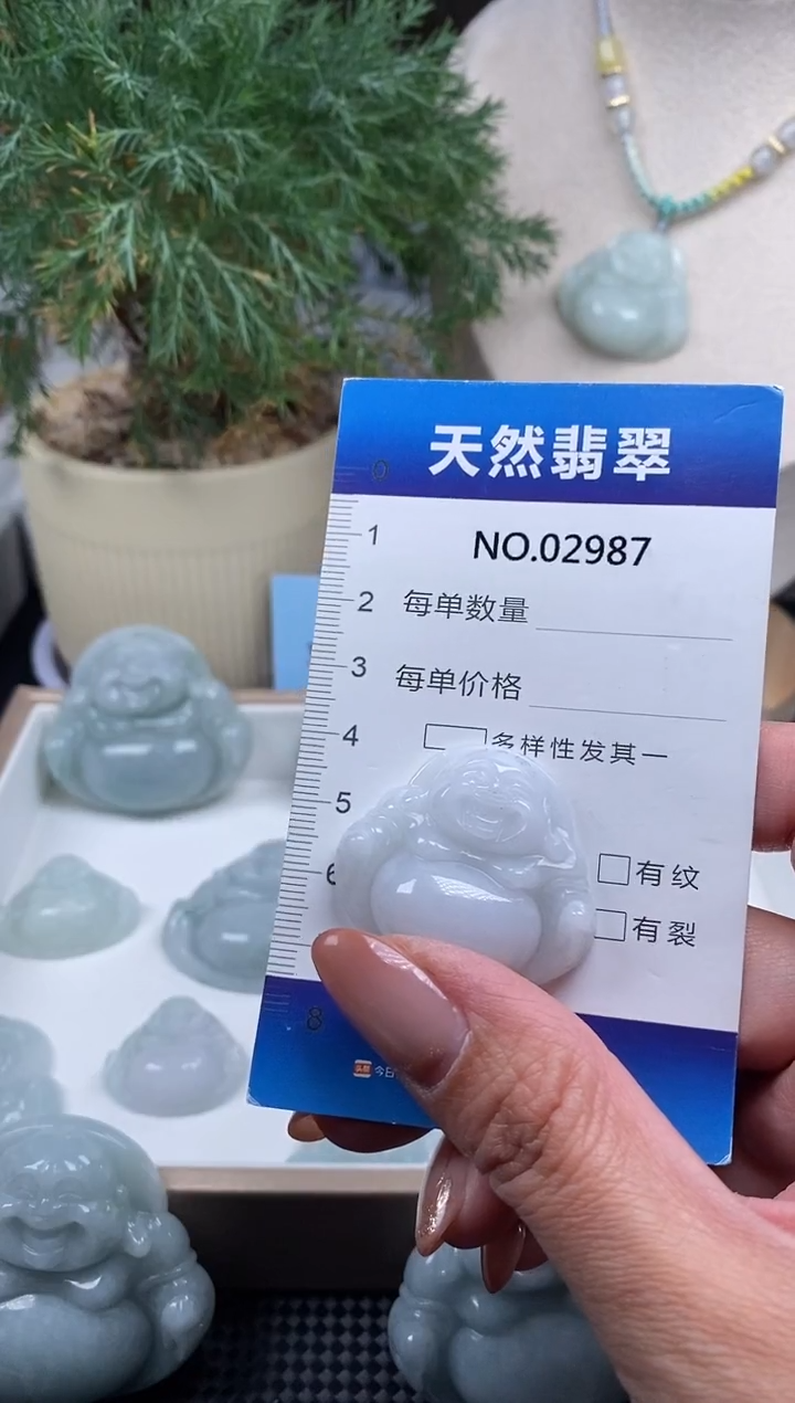 颈饰未镶嵌翡翠纯天然A货缅翡2987