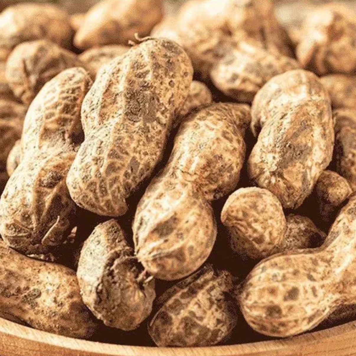 新鲜带壳湿花生农家现挖花生四川特产