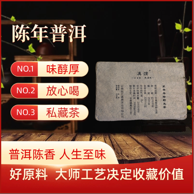 滇濮普洱2006年野生生茶茶砖200g