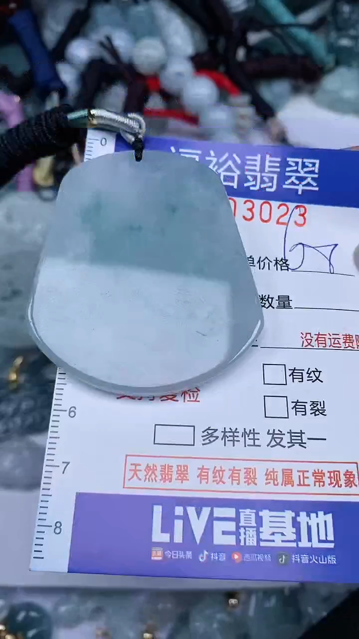 翡翠未镶嵌颈饰...0003023