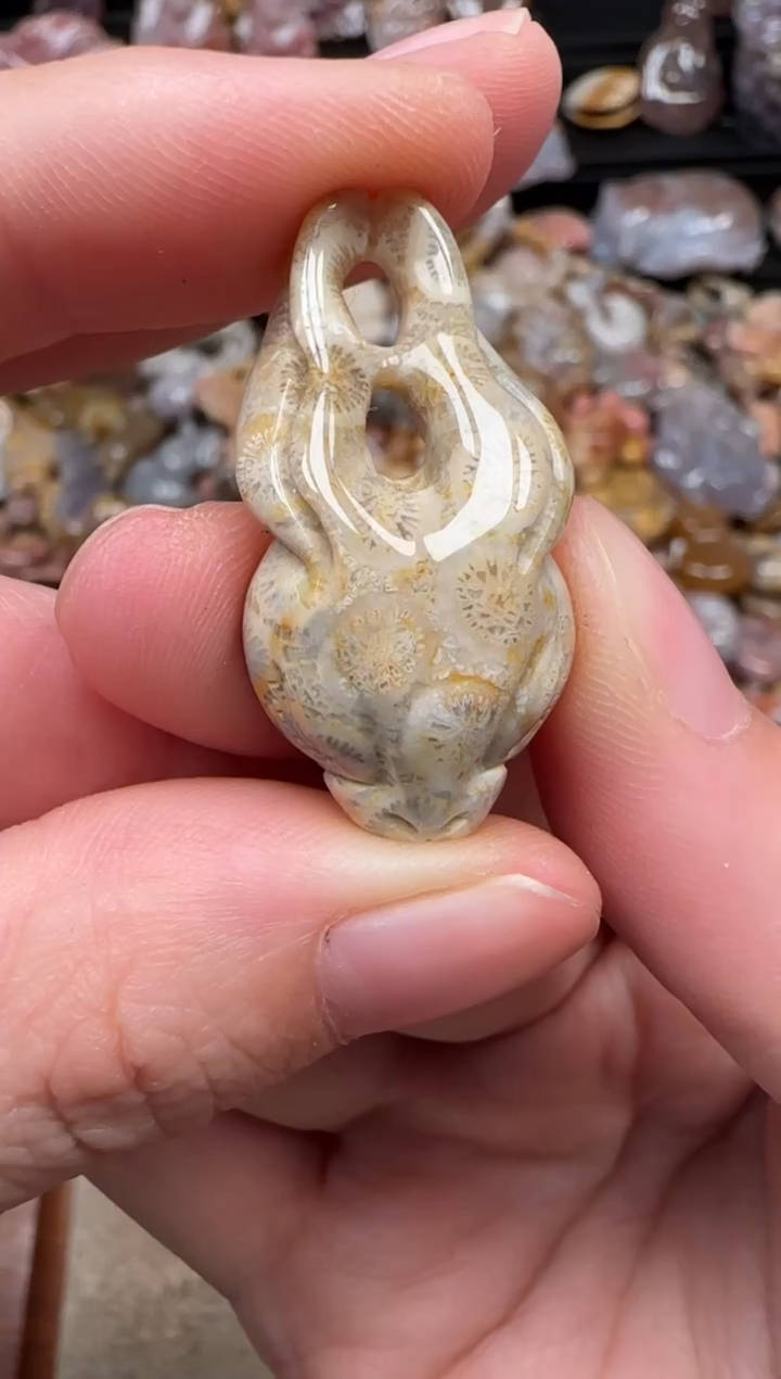 颈饰未镶嵌硅化珊瑚（珊瑚玉）609