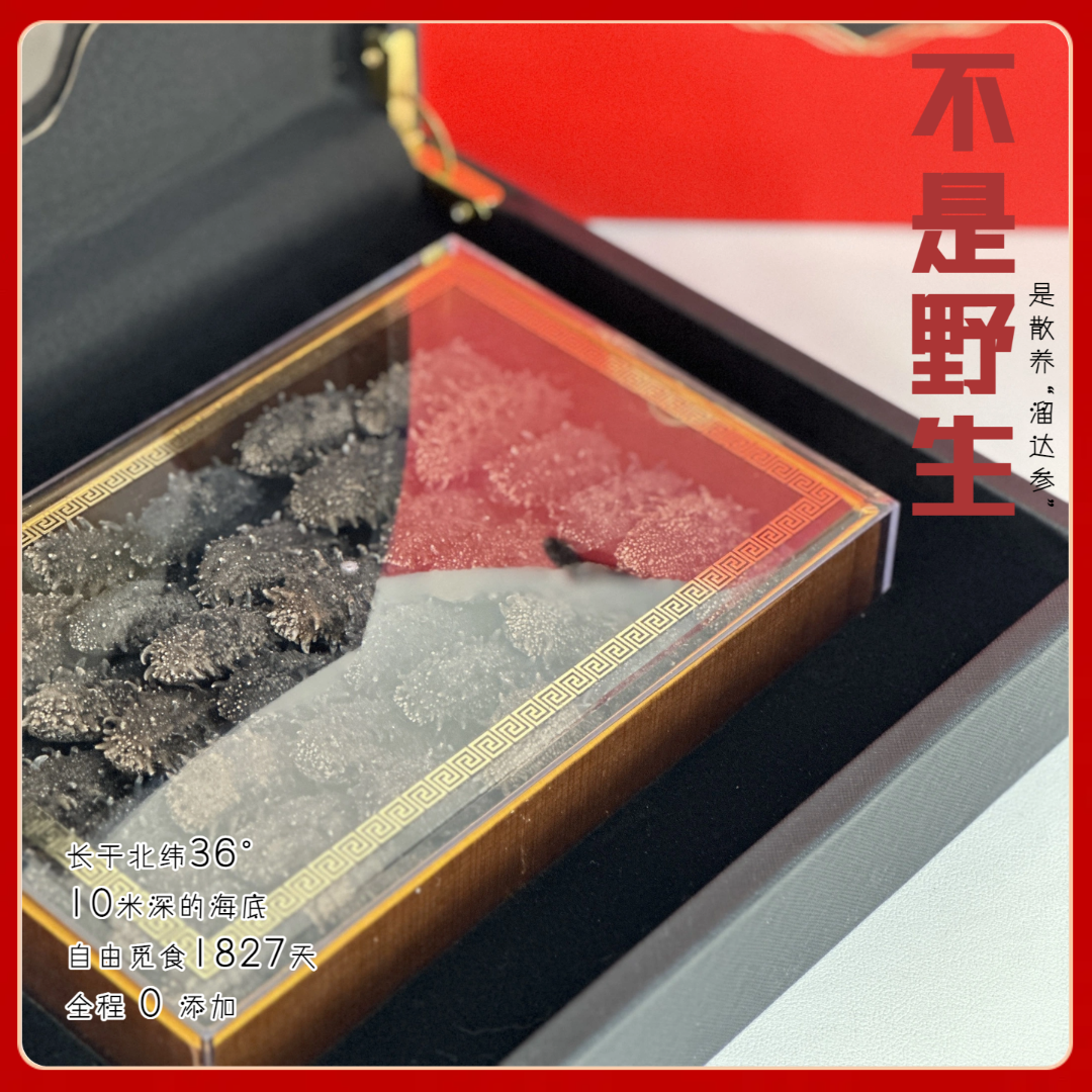 无添加青岛底播海参，深水岩礁高泡发，滋补佳品，80-100头，500g