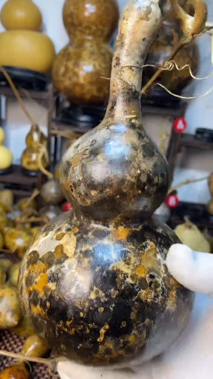 【闪购商品】葫芦葫芦葫芦葫芦葫芦