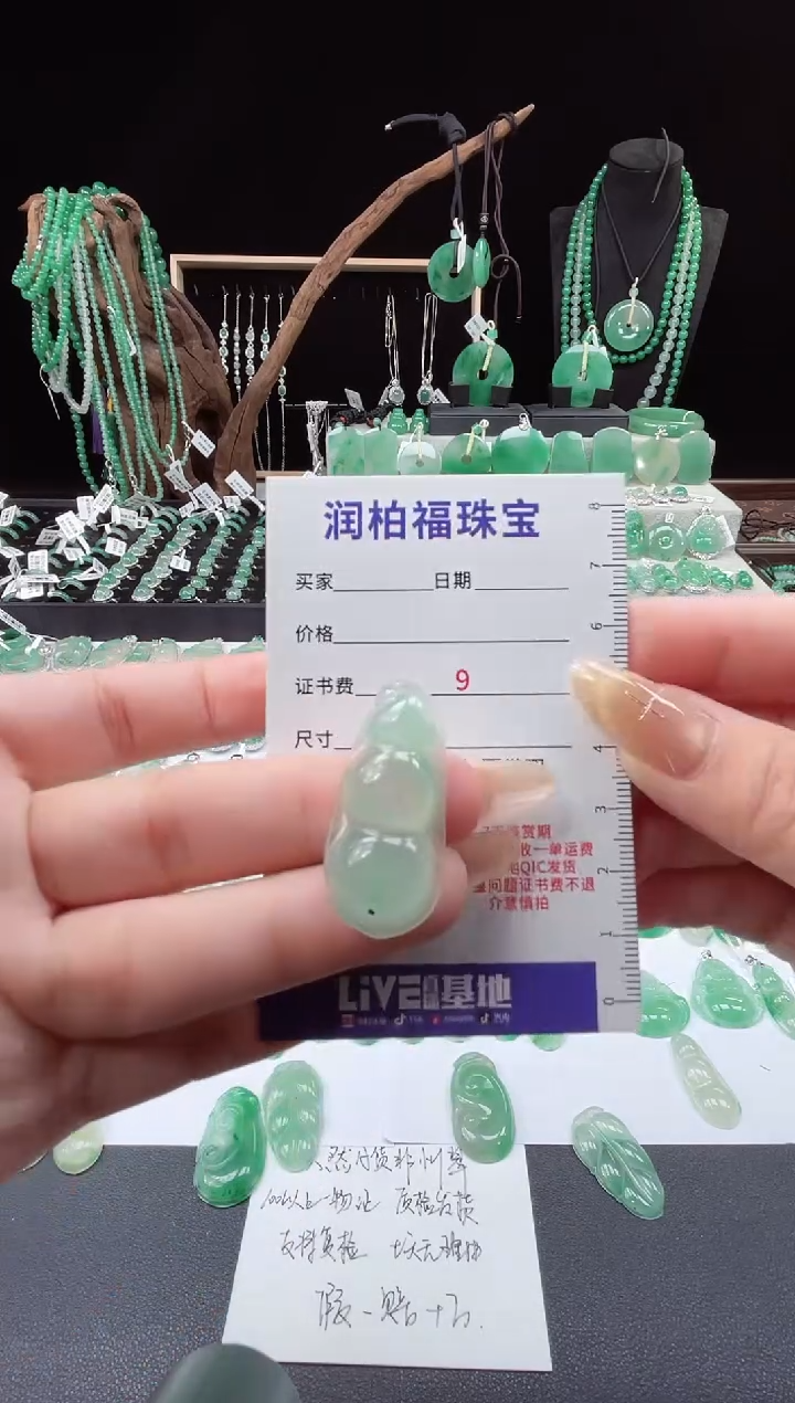 吊坠(不含链)未镶嵌石英质玉（非洲翠）26.31 福豆