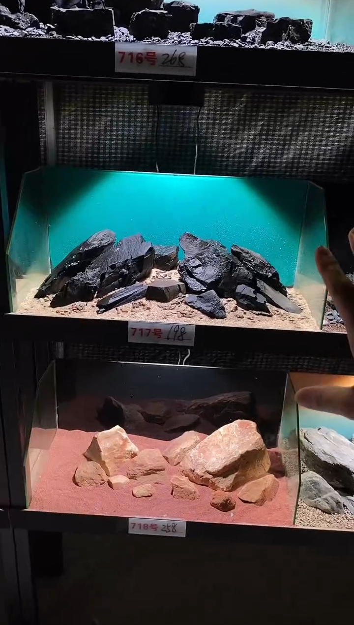 717号鱼缸造景（不含底砂）