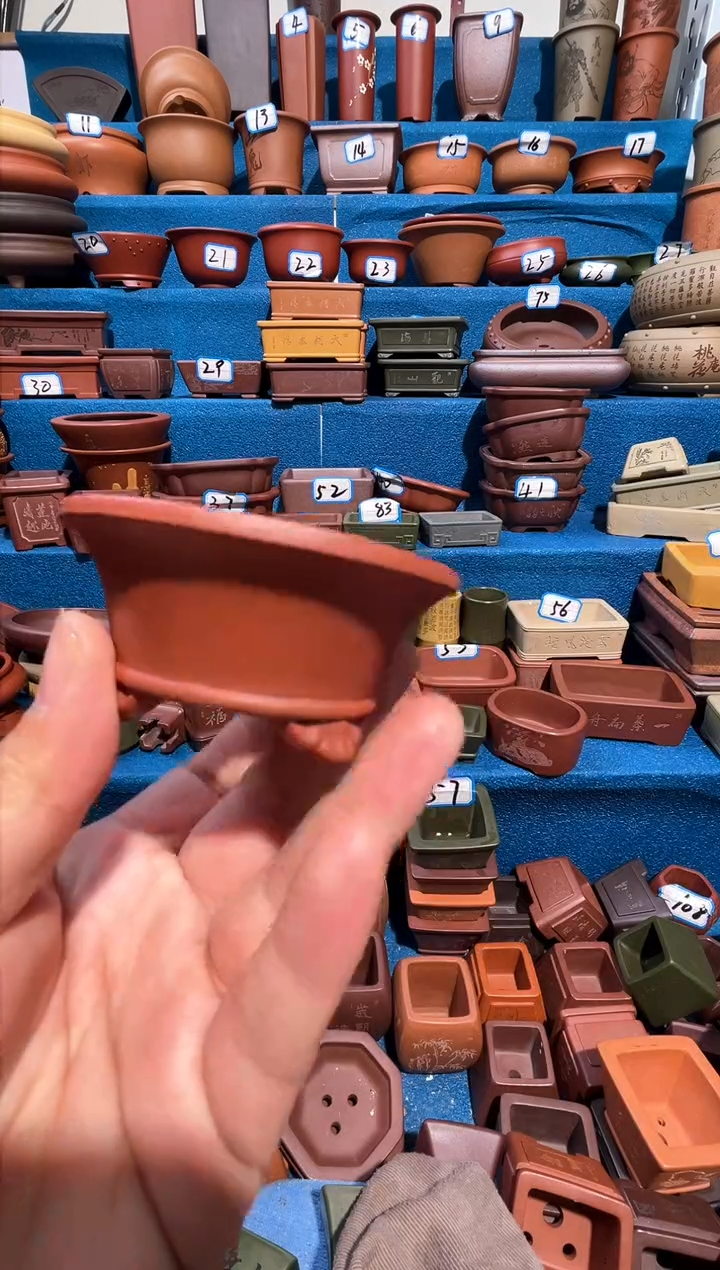 【闪购商品】紫砂紫砂花盆6.5*3