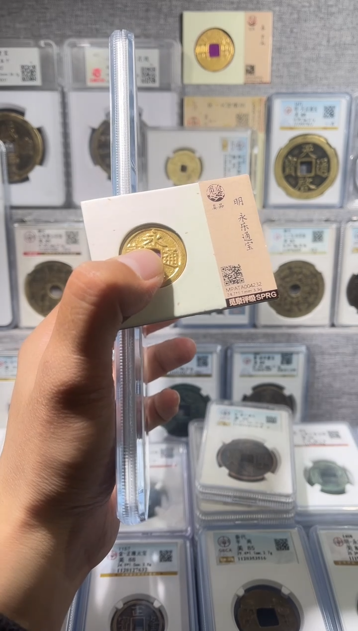 铜A****y齐泉 y明ddddd 88