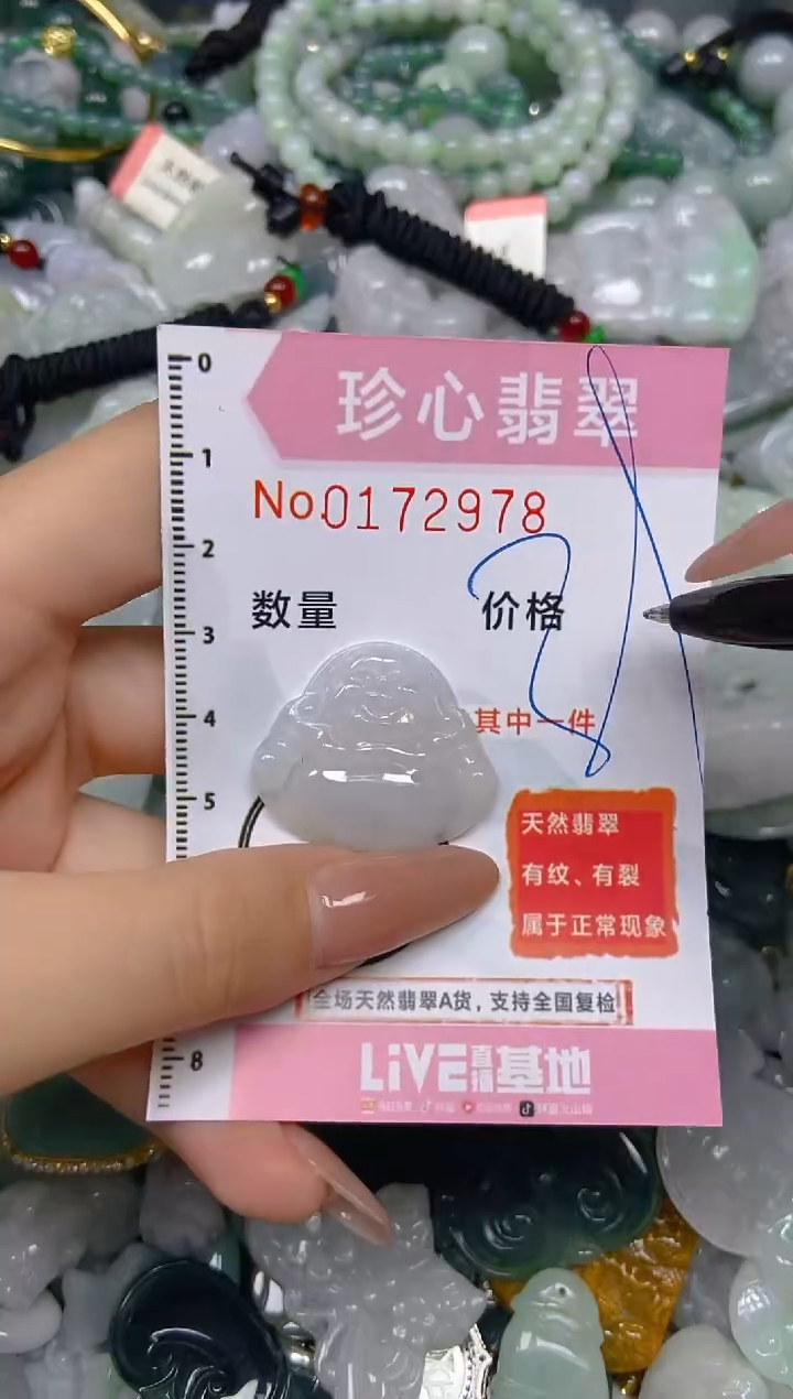 【闪购商品】翡翠颈饰未镶嵌闪购0172978