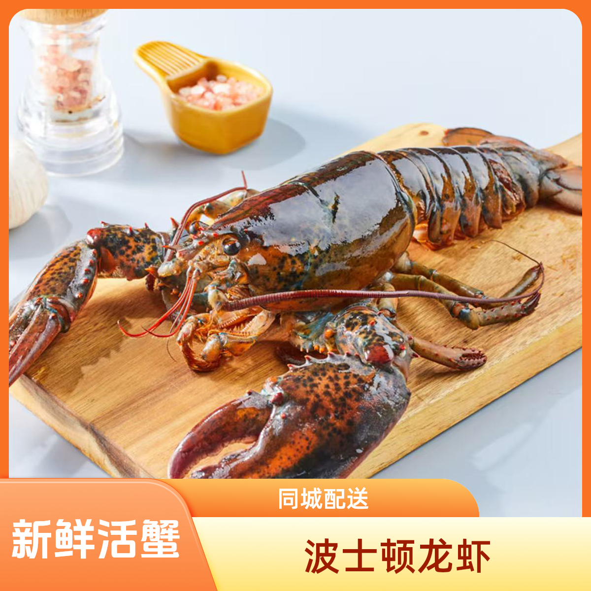 【鲜活】波士顿龙虾 西安同城配送