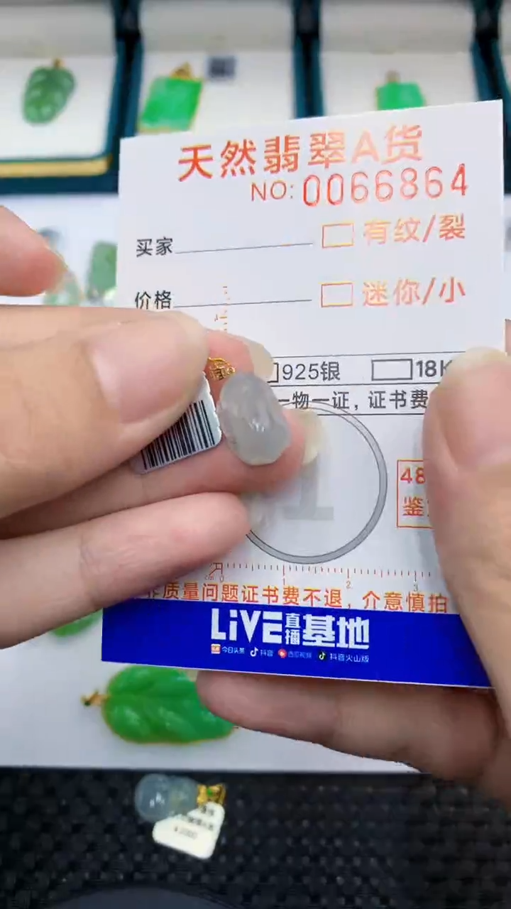 【闪购商品】翡翠颈饰18K金镶嵌            8