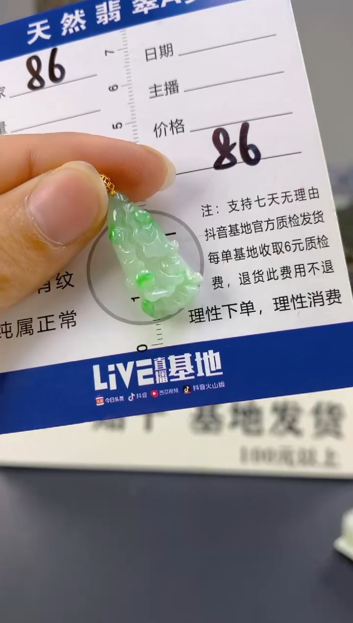 【闪购商品】翡翠颈饰18K金镶嵌天然A货翡翠