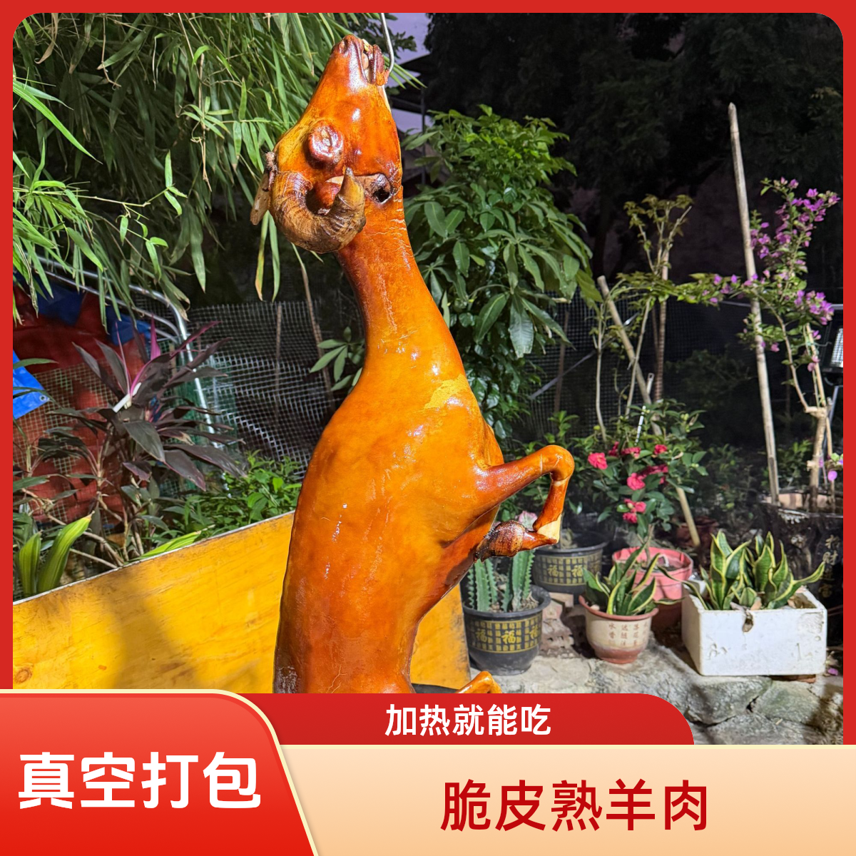 广西脆皮黑山羊煮熟发⑨⑨文发2斤4真空包装顺丰冷链发