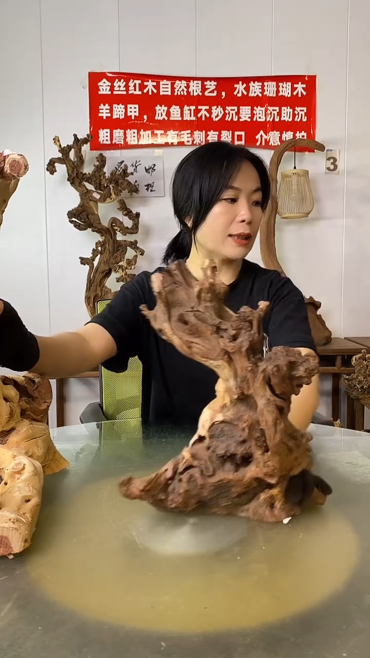 香榧木王**?金丝红木 羊蹄甲