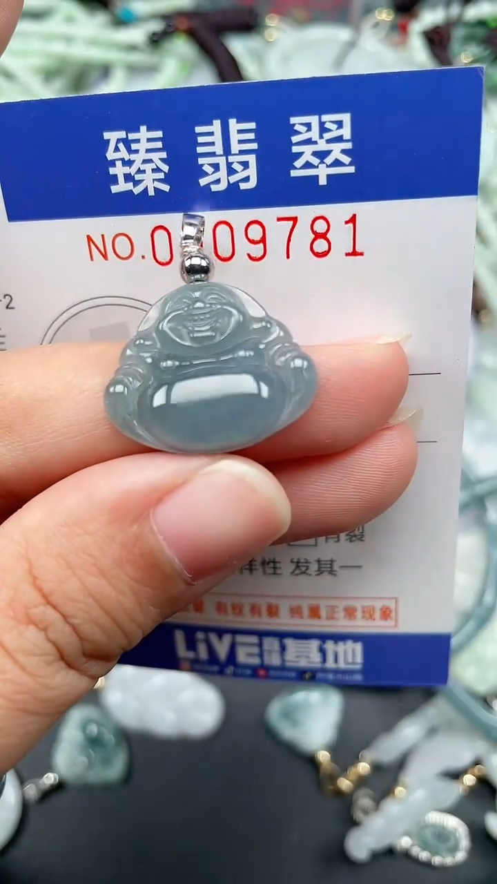 颈饰未镶嵌翡翠.0009781