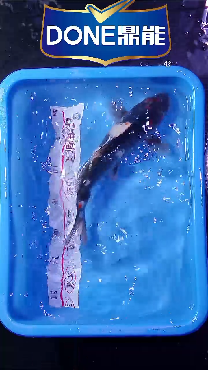 锦鲤鱼悦直播间菁选 32号