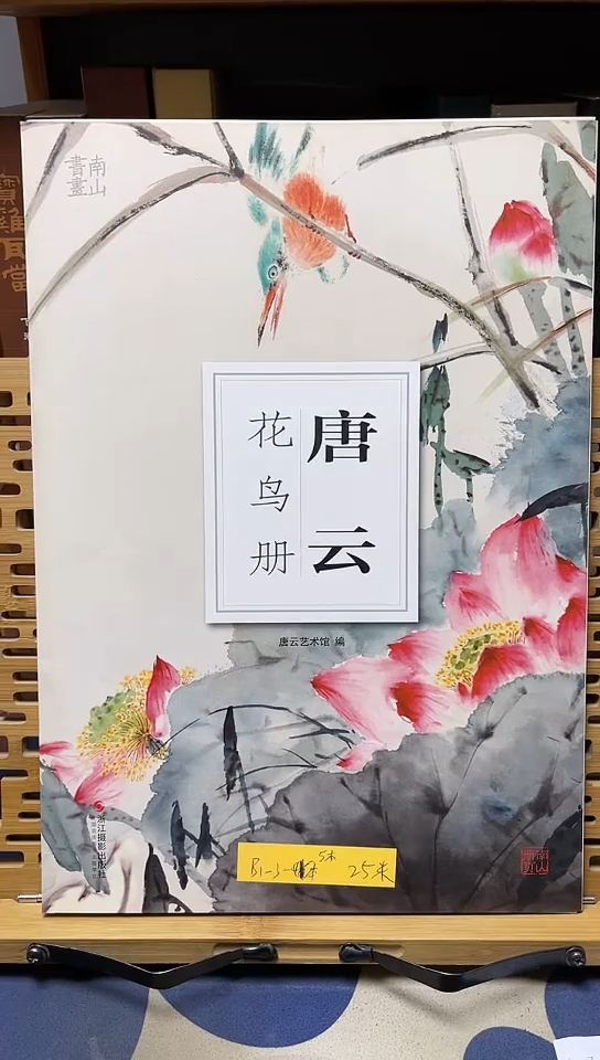    唐云花鸟册    
