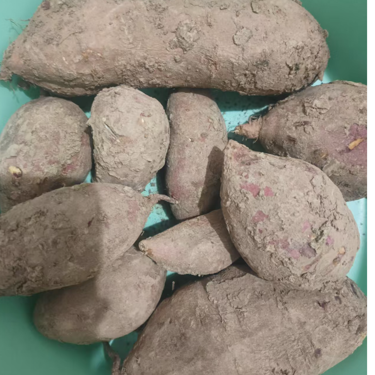 现挖带泥红薯3斤装