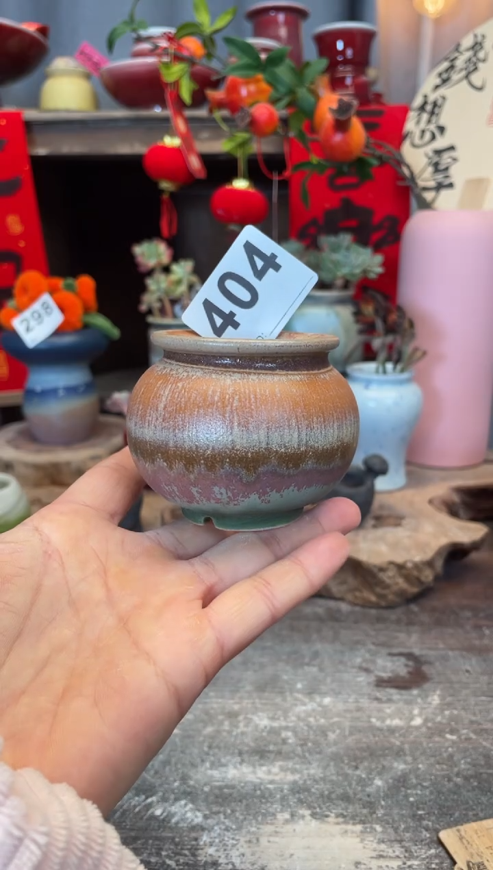 【闪购商品】摆件404知木小芳花盆