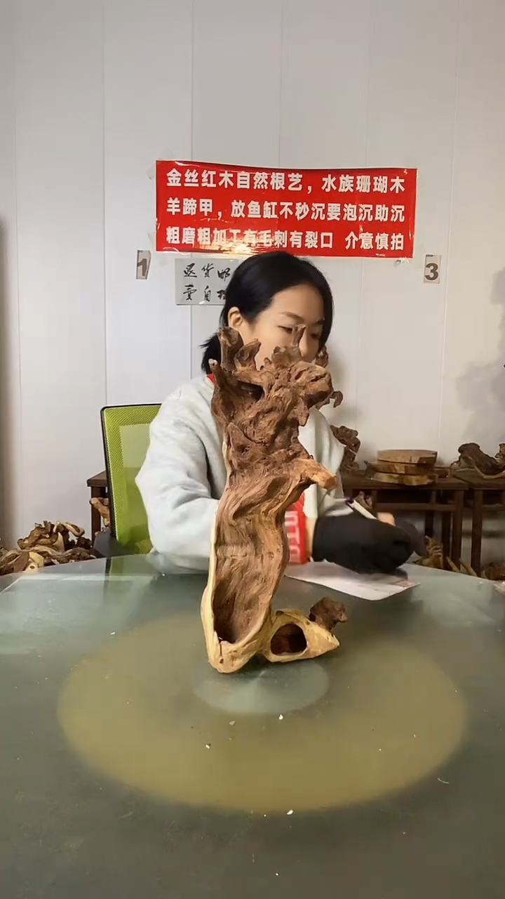 木一**变金丝红木  羊蹄甲