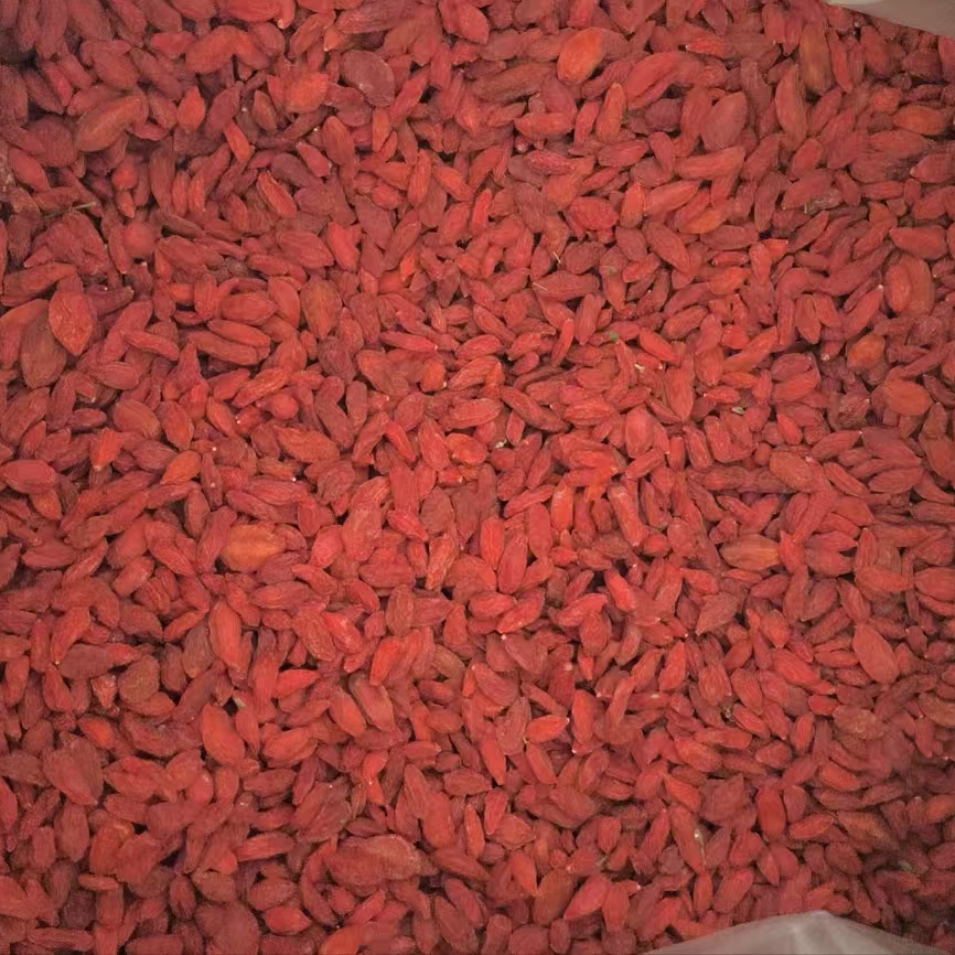 (鱼多多）精选枸杞肉干