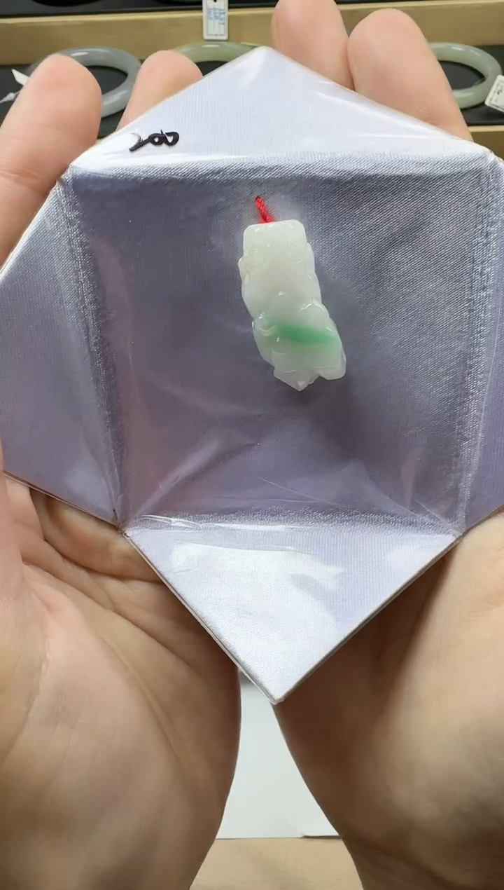 【闪购商品】翡翠颈饰未镶嵌貔貅YY